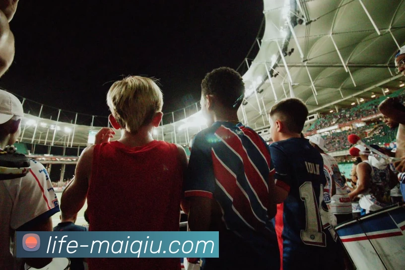 买球线上官方APP 封面图